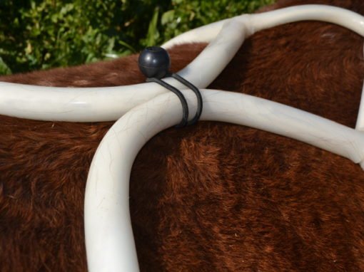 MegaPulse equine PEMF butterfly loop in use