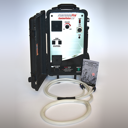MegaPulse 2.5 Equine PEMF therapy system for horses