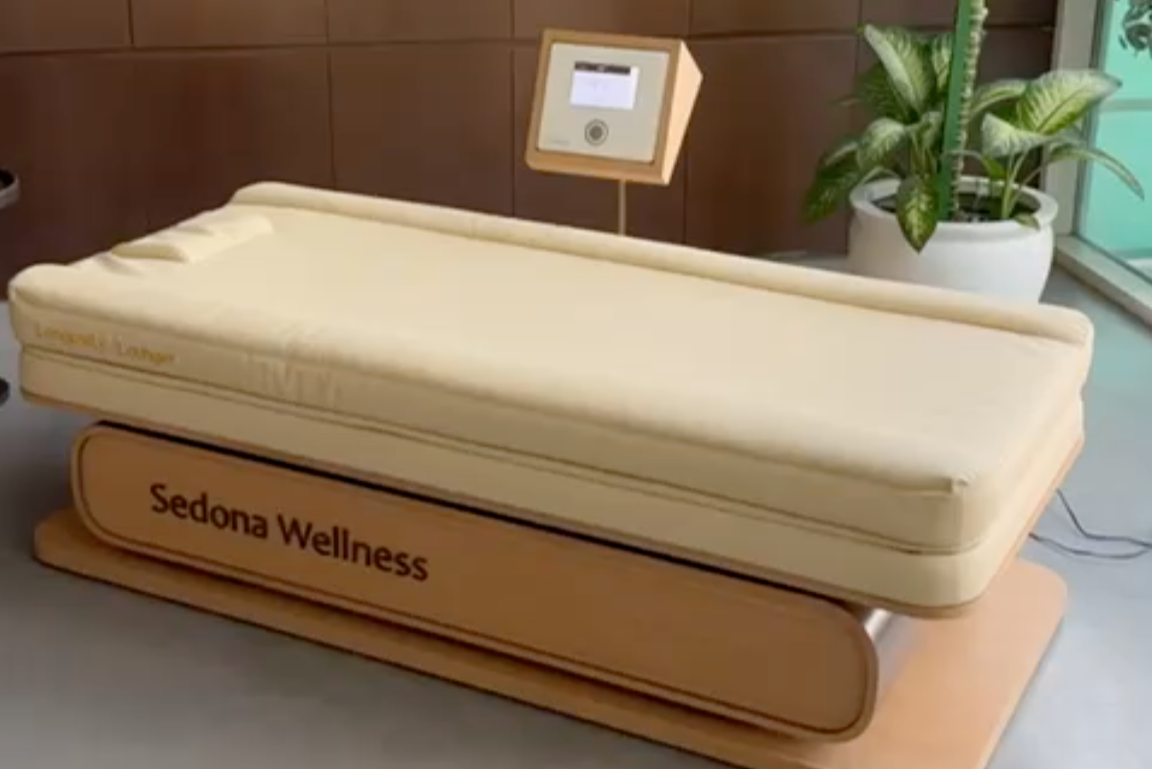 Longevity Lounger PEMF Bed - Image 3