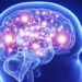 parkinson's disease brain
